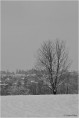 /album/galleria-foto-galleria-fotografica/dsc-0426-bw-jpg/