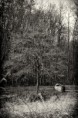/album/galleria-foto-galleria-fotografica/dsc-1944-jpg/