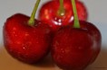 /album/macro/dsc-0950-jpg1/