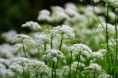/album/galleria-foto-galleria-fotografica/dsc-2274-jpg/